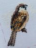 ABECAB1D-43C3-4CB6-A365-D07CA71DD2F1.jpeg.64dd7fd823c2eb032c85babb26bafe93.jpeg