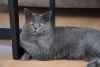 DSC_4462.thumb.JPG.c57399ab19b5b149647a07ee6c856524.JPG
