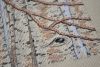 DSC_5584.thumb.JPG.604b748c4e7b3a998ec2c770de42e1ee.JPG