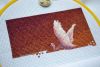 DSC_8878.thumb.JPG.d16b634a4ec73965eb24f04b97ae49ea.JPG