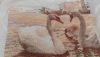 G2UmsrBFl1Y.thumb.jpg.84948a9815f8531916a618e8ecb3cc24.jpg