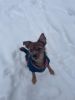 IMG-20220121-WA0004.thumb.jpg.0ebb69ca488943c53ffb0afa4b868727.jpg
