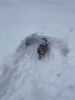 IMG-20220121-WA0007.thumb.jpg.8aef8e1ce211a2541947ecca2f1e3db7.jpg