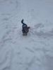 IMG-20220121-WA0009.thumb.jpg.3b05d9a76da7bd6410b267643ebeefd6.jpg