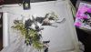 IMG-20220305-WA0009.jpeg