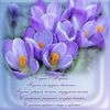 IMG-20220308-WA0002.thumb.jpg.80e76fd74fa61d3d0086796f56d6e75b.jpg