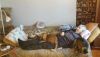 IMG-20220310-WA0002.thumb.jpg.704a505646ed1e86a9f479ec5ba87976.jpg