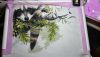 IMG-20220317-WA0011.jpeg