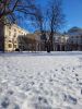 IMG-20220328-WA0001.thumb.jpg.226eeeef61638036466c93be57085ce5.jpg