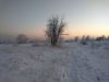 IMG_20220120_165456.thumb.jpg.8e9b6dbb0f0b4f6d305df837a56488bd.jpg