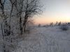 IMG_20220120_165555.thumb.jpg.1dbbd053a5c93dc134be380b567e2224.jpg