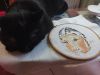 IMG_20220206_171757.thumb.jpg.6c0758cfca5135bfb223a72252608861.jpg