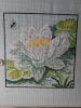 IMG_20220302_112529.thumb.jpg.f73fdf4769afd3adc5ba1529a886aaad.jpg