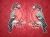 IMG_20220303_135328_1.jpg.c07361d4d7b423