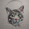 IMG_20220305_201441.thumb.jpg.4ecd79599f85a2bb28e63d293900783b.jpg