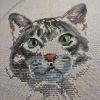 IMG_20220305_201443.thumb.jpg.d2dfca00f6919f9a286d5b6693837fa4.jpg