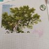 IMG_20220305_203754.thumb.jpg.a0eabed3e4d10a64c651f8c358edcaad.jpg