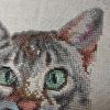 IMG_20220306_173301.thumb.jpg.4e0f8928b4eda9d66239adf037d80b7c.jpg