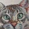 IMG_20220306_173310.thumb.jpg.300e14c0a9aed658551c5086f8c8abfe.jpg