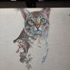 IMG_20220310_194504.thumb.jpg.3b5fef2b0efb15ad37051ebcf659204f.jpg