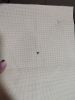 IMG_20220311_221452.thumb.jpg.b5d66b6eb8ef5be91e46084814ba396f.jpg