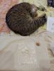 IMG_20220312_165805.jpg