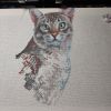IMG_20220312_173636.thumb.jpg.a7347cc75ac05490213a322398ba2be0.jpg