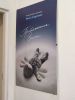 IMG_20220317_202802.thumb.jpg.793144afd670d57b53b6e0f9d235c148.jpg