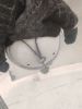 IMG_20220317_203136.thumb.jpg.60eb3f4be1c1bc68f68285adc7a271fe.jpg