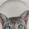 IMG_20220320_164836.thumb.jpg.d9c88b8a9c21a21d79f32a4b3a27d13f.jpg