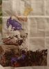 IMG_20220321_191257.thumb.jpg.6ebef4cb74e5bdc0756c164548250ed2.jpg