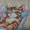IMG_20220323_190853.thumb.jpg.e3d5decbe1d481dbeb1e374cd0540d23.jpg