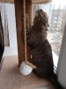 IMG_20220324_085938.thumb.jpg.9fa8dc691035a517052ace5c3ed638f0.jpg