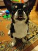 IMG_20220325_191905.thumb.jpg.9eddb2c492354941d34db52e0be6442f.jpg