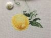 IMG_3308.thumb.JPG.a6b03c530d96349a773114320ca05ac8.JPG