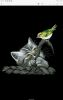 Screenshot_2022-03-18-18-29-28-496.thumb.jpeg.07eedc2ef7693fc01cf10fe3d3bd8ec5.jpeg