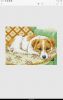 Screenshot_2022-03-18-18-29-51-059.thumb.jpeg.2a3dc264f9351048e09b46e0e1e51dec.jpeg