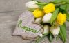 Tulips_March_8_Heart_547794_3840x2400.thumb.jpg.f7535106cd822cdc6ec5b854987e55f6.jpg