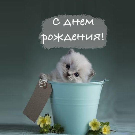 ca30750c7501f3d715835df5c9d56e86.jpeg.c181de703df1718b2943f0279c93db57.jpeg