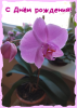 image.thumb.png.26f8bf93977f479314e359eba57c5d80.png