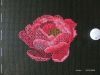 peonies_2.jpg.d9b0cd15c8aa3ea479d28b84e530b3b4.jpg