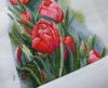 tulips_10.jpg.79421af81e9f4bb02e83f3347a5e1dbb.jpg