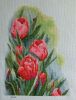 tulips_8.jpg.e67dafacaeee8a2ed8841e768ba4d5ff.jpg