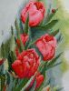 tulips_9.jpg.ceec95fe72a237d99fce9d6961ce954e.jpg