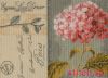 10325.thumb.jpg.b94aa7176dfa7e8fd674c1f25f6c271b.jpg