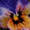 11322.thumb.jpg.c3d6f88309fb0475c12f76b525b845b7.jpg
