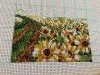 изображение_viber_2022-04-25_14-56-14-974.jpg