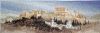 1181640739_.thumb.jpeg.661ce5e221a8325bba57b931c9e36be5.jpeg