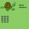 1493221747_9.thumb.jpeg.6a4052da65c8a94ae24cd6ad78252a0a.jpeg