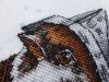 15.thumb.jpg.806f88aefdc1feb8f85f2e3e6a5e8e45.jpg